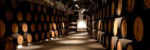 Wine Cellar at Walla Walla Winery Pic