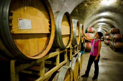 Walla Walla Wine Barrels Pic